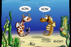 EK MOIN seekuh seepferd
