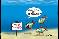 EK-Schellfisch-Kopie