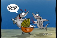 EK-er-zahnt-gerade
