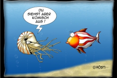EK-komisch-aussehen