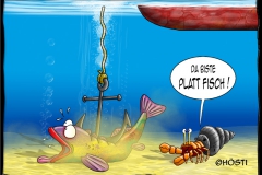 EKPlattfisch