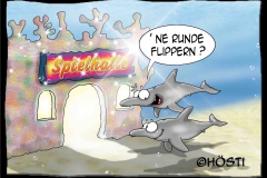 HUW Flippern