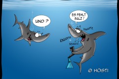 HUW-es-fehlt-salz