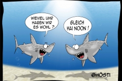 HUW-hai-noon