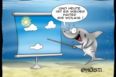 HUW haiter bis wolkig abg