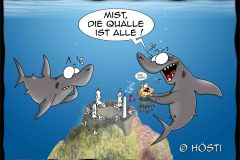 HUW-qualle-is-alle-Kopie