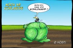 HBB-noch-ne-kohlmeise