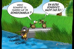 HBB-rohrspatz-rohrdommel