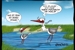 HVK-Frosch-im-Hals