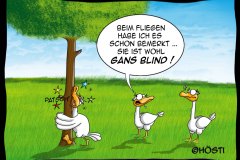 HVK-Gans-blind