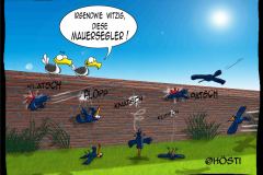 HVK-Mauersegler