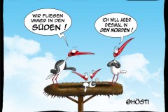 HVK-ich-will-aber-norden-neu