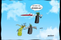 HVK-reihern-air
