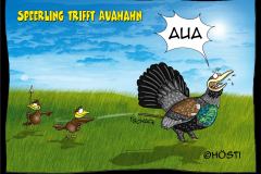 HVK-speerling-trifft-auahahn