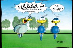 HVK-taube