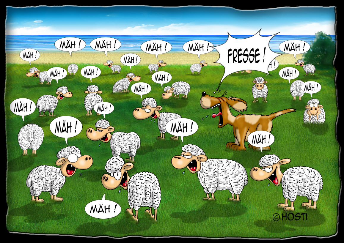 H stis Voll Schaaf H sti Cartoons H stis Voll Schaaf H sti Cartoons