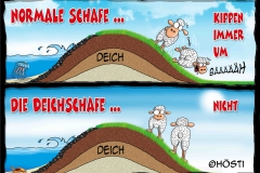 EK Deichschafe