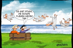 EK sturm schafe fliegen tief