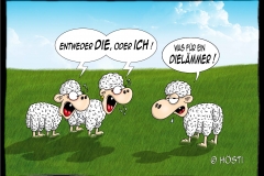 VS Dielaemmer