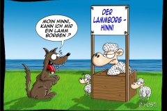 VS Lammborg Hinni abg