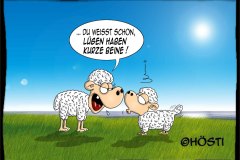 VS-Luegen-haben-kurze-beine-Kopie