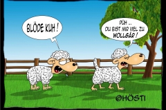 VS-Wollgaer