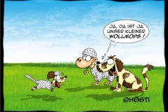 VS Wollmops abg