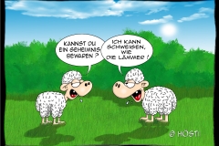 VS geheimniss bewaren