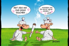VS gras rauchen