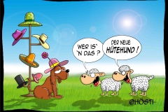 VS-huetehund