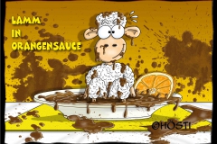 VS lamm in orangensauce angepasst offen