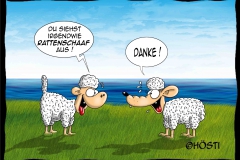 VS rattenschaaf aussehen