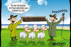 VS-ueber-einen-kamm-scheren