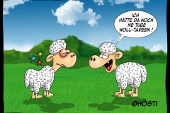 VS-wolltareen