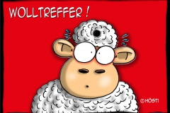 VS wolltreffer