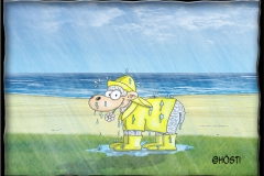 VSRegenschaf