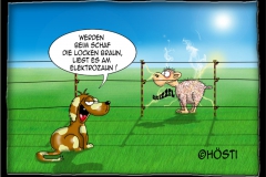 VSelektrozaun