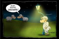 anschafen