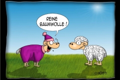 baumwolle