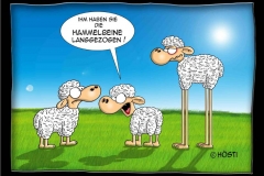 hammelbeine