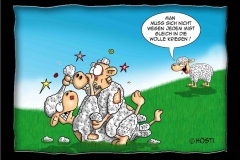 in_wolle_kriegen