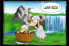 lamm_bada