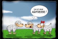 maehtresse