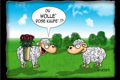 wolle_rose_kaufe
