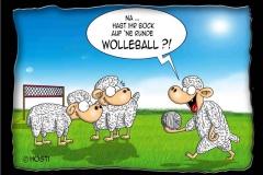 wolleball