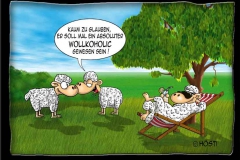 wollkoholic