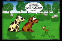 wollontariat